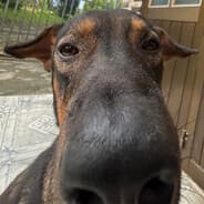 โปรไฟล์